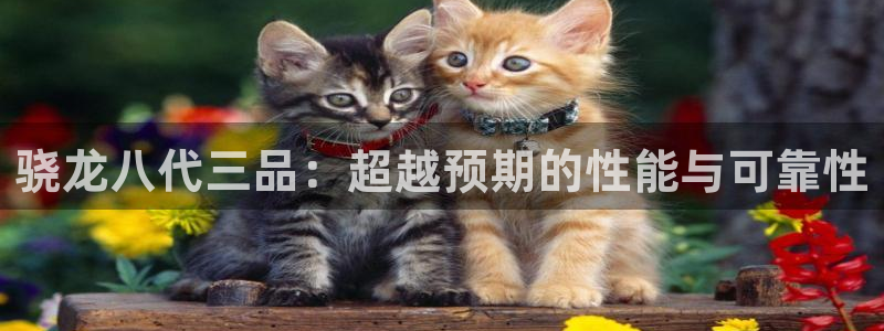 威廉希尔(williamhill)电子游戏
