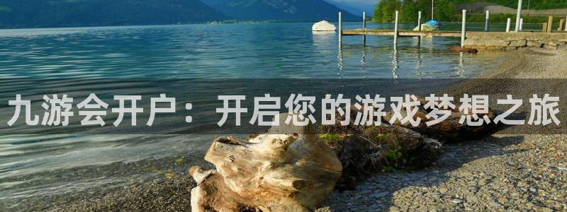 伟德国际集团 壹号(one game)：九游会开户：开启您的游戏梦想之旅