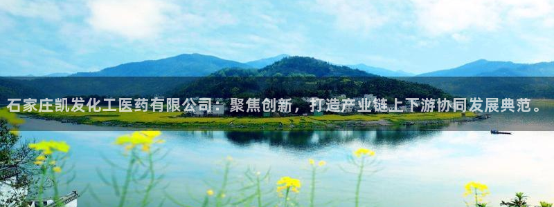威廉希尔(williamhill)下载入口：石家庄凯发化工医药有限公司：聚焦创新，打造产业链上下游协同发展典范。