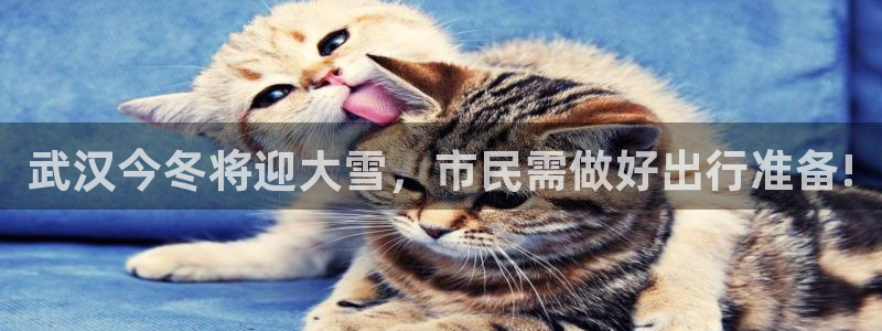 威廉希尔(williamhill)官网版下载链接：武汉今冬将迎大雪，市民需做好出行准备!
