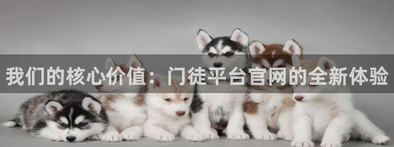 壹号大舞台：我们的核心价值：门徒平台官网的全新体验