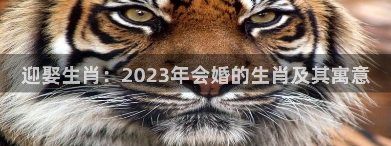 威廉希尔(williamhill)可靠吗：迎娶生肖：2023年会婚的生肖及其寓意