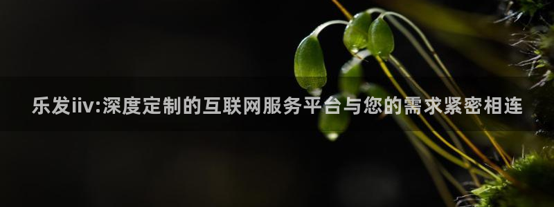 威廉希尔(williamhill)app哪个模式容易赢：乐发iiv:深度定制的互联网服务平台与您的需求紧密相连