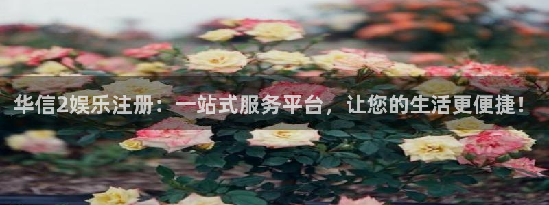 威廉希尔(williamhill)赏金女王：华信2娱乐注册：一站式服务平台，让您的生活更便捷！