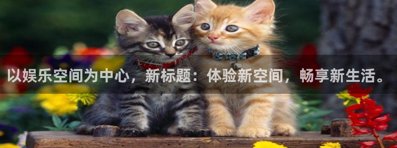 威廉希尔(williamhill)app下载：以娱乐空间为中心，新标题：体验新空间，畅享新生活。
