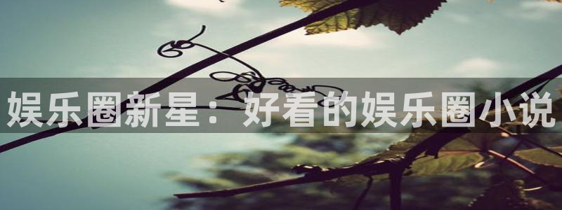 壹号app官方登录入口下载：娱乐圈新星：好看的娱乐圈小说