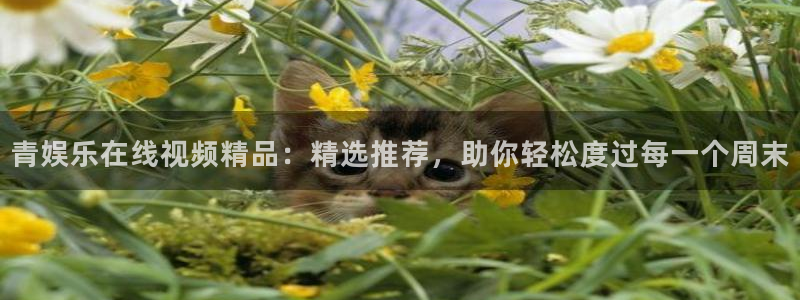 壹号官方app下载安装：青娱乐在线视频精品：精选推荐，助你轻松度过每一个周末
