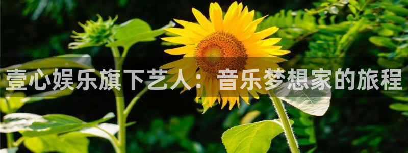 威廉希尔(williamhill)加拿大app预测：壹心娱乐旗下艺人：音乐梦想家的旅程
