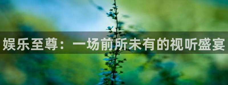壹号大舞台：娱乐至尊：一场前所未有的视听盛宴