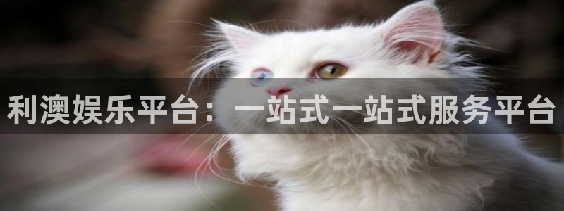 威廉希尔(williamhill)app官网下载：利澳娱乐平台：一站式一站式服务平台