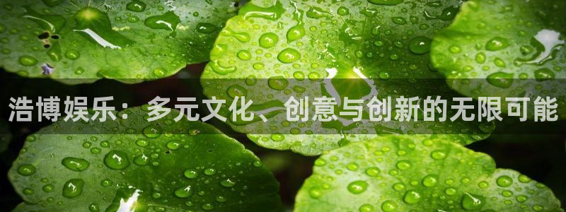 威廉希尔(williamhill)分红代理计划：浩博娱乐：多元文化、创意与创新的无限可能
