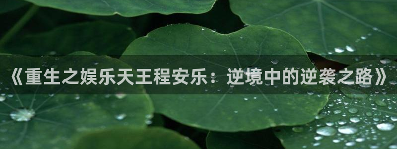 威廉希尔(williamhill)账号注册入口：《重生之娱乐天王程安乐：逆境中的逆袭之路》