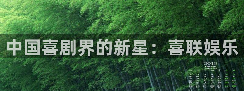 威廉希尔(williamhill)官网地址：中国喜剧界的新星：喜联娱乐