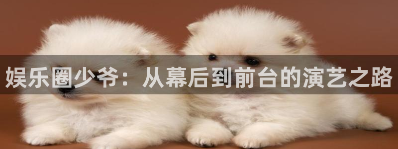 威廉希尔(williamhill)pg电子游戏在线玩：娱乐圈少爷：从幕后到前台的演艺之路