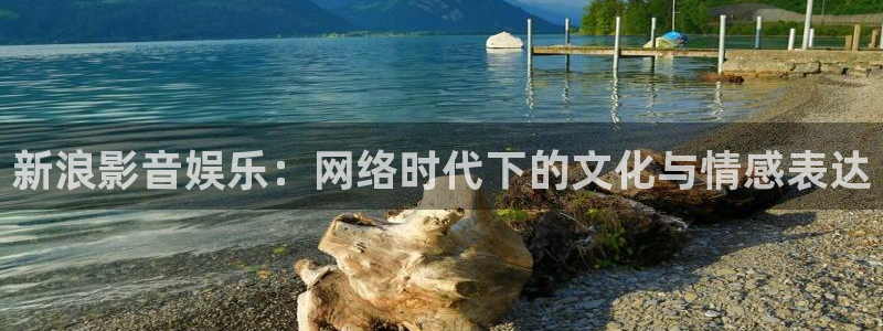 威廉希尔(williamhill)官方网站下载：新浪影音娱乐：网络时代下的文化与情感表达