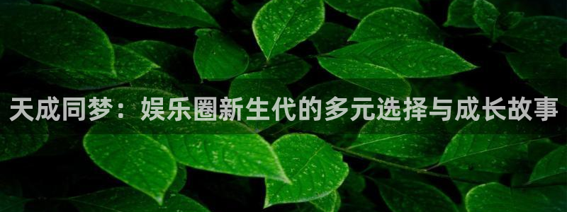 威廉希尔(williamhill)下载官网入口在哪：天成同梦：娱乐圈新生代的多元选择与成长故事