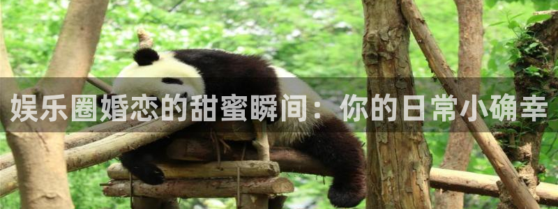 壹号大舞台有梦你就来：娱乐圈婚恋的甜蜜瞬间：你的日常小确幸