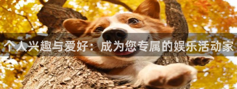 威廉希尔(williamhill)网页版登：个人兴趣与爱好：成为您专属的娱乐活动家
