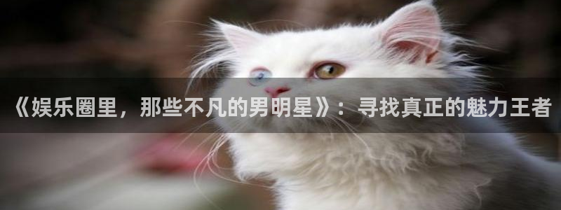 壹号大舞台娱乐app下载安装：《娱乐圈里，那些不凡的男明星》：寻找真正的魅力王者