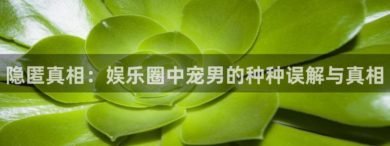 威廉希尔(williamhill)官网下载：隐匿真相：娱乐圈中宠男的种种误解与真相