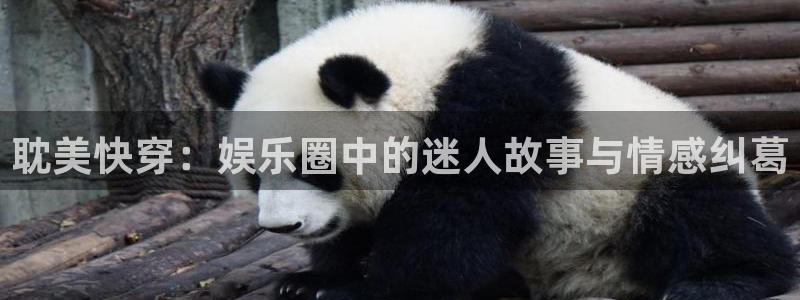 壹号大舞台下载